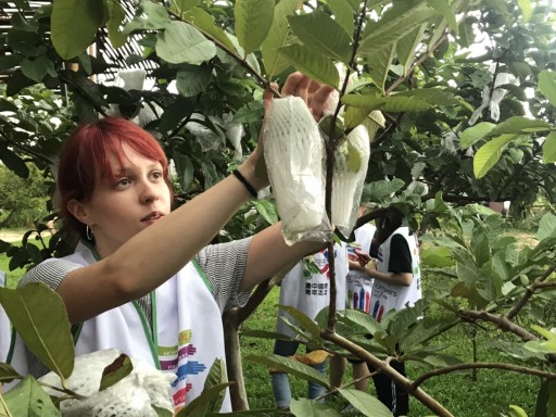 專案照片 / Project photos