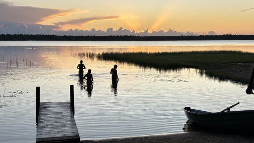 專案照片 / Project photos
