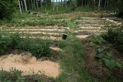 專案照片 / Project photos